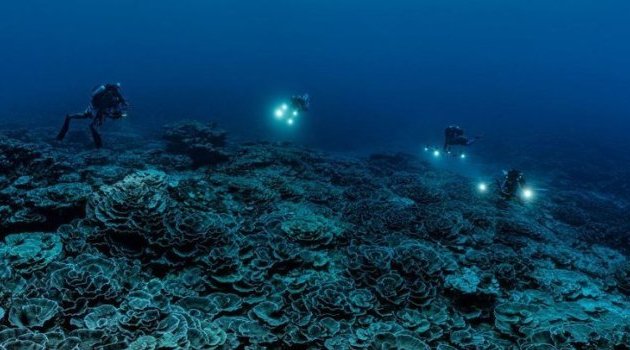 Décolonisation&nbsp;: l’histoire inachevée des derniers peuples sous tutelle