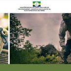 Conflit homme-faune : le ministère des Eaux et forêts annonce des consultations provinciales