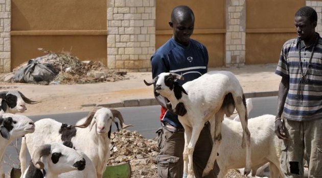 Fête du Mouton : la journée de dimanche fériée en République gabonaise