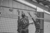 Championnat de volley-ball du Haut-Ogooué : Mangasport impose sa loi à Moanda