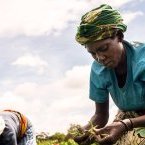 Le monde n’est pas en voie d’atteindre l’objectif « Faim zéro » d’ici à 2030