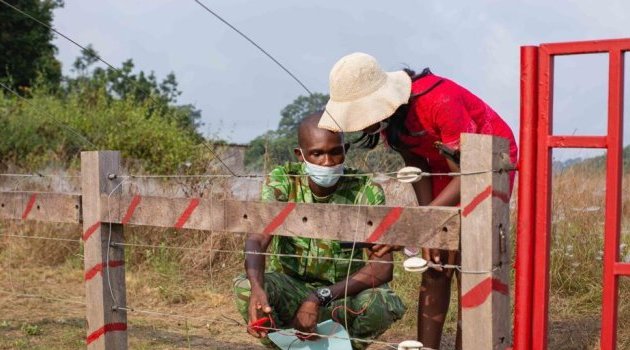 Conflit homme-faune : Une barrière électrique inaugurée près de Gamba