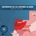 Coronavirus au Gabon : point journalier du 29 juin 2020