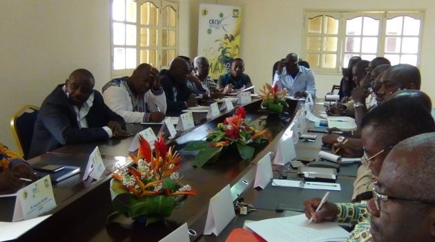 Les dates de renouvellement des comités directeurs du handball gabonais enfin connues