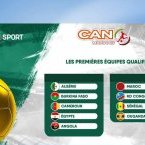CAN 2025 : Neuf nations déjà qualifiées à deux journées de la fin des éliminatoires