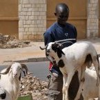 Fête du Mouton : la journée de dimanche fériée en République gabonaise