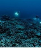 Décolonisation&nbsp;: l’histoire inachevée des derniers peuples sous tutelle