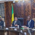 Des investisseurs égyptiens attendus prochainement au Gabon