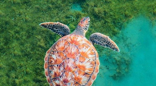 Les bienfaits de l’océan sont de plus en plus compromis par l’activité humaine, selon une étude de l’ONU