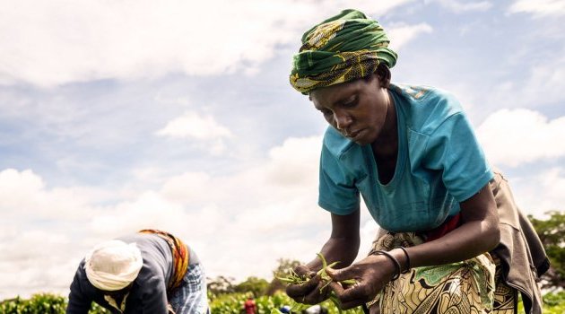 Le monde n’est pas en voie d’atteindre l’objectif « Faim zéro » d’ici à 2030