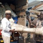 Un coup de poing dans l’avenir de la boxe gabonaise : Réception de nouveaux rings à la Fegaboxe