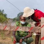 Conflit homme-faune : Une barrière électrique inaugurée près de Gamba