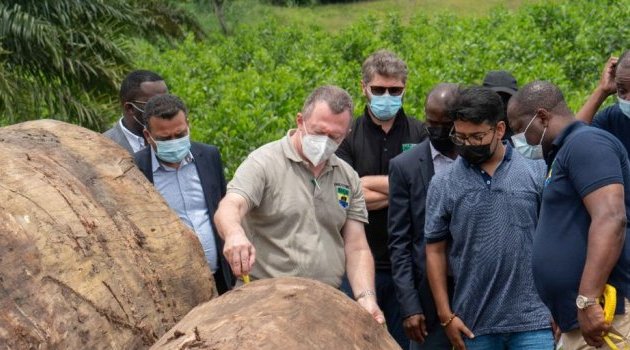 Lee White et son délégué inspectent le système de traçabilité du bois « Minef »