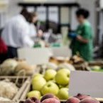 La FAO lance l’initiative Villes vertes pour la transformation des systèmes agroalimentaires