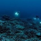 Décolonisation&nbsp;: l’histoire inachevée des derniers peuples sous tutelle