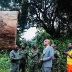 Forêt : le ministre Maurice Ntossui Allogo intensifie les contrôles sur le terrain