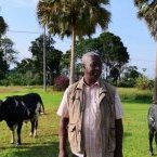 Salaires publics : l’inévitable ajustement en perspective au Gabon
